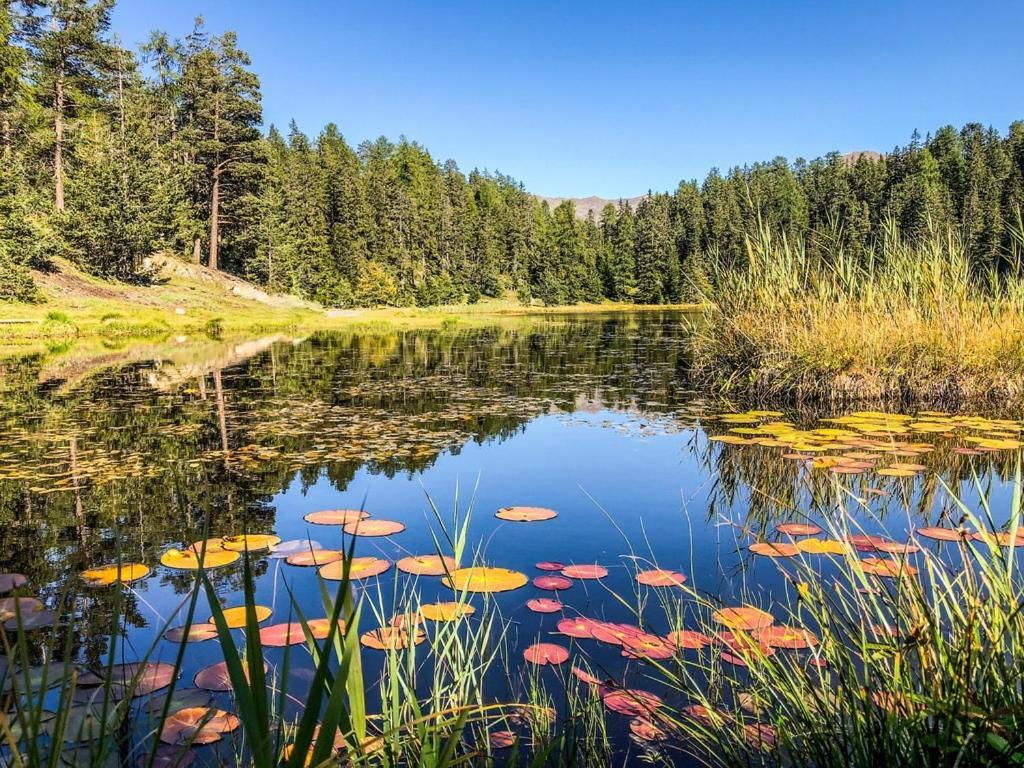 Apart Heimatliebe Наудерс Екстер'єр фото